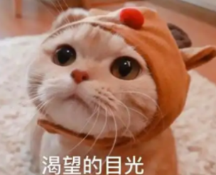 354-3.png
